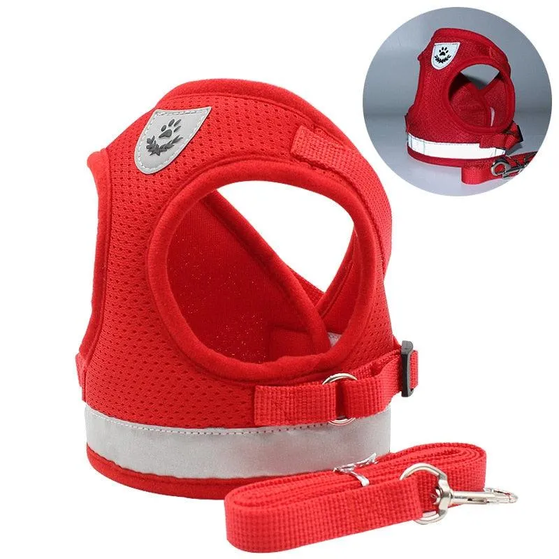 Reflective Breathable Harness