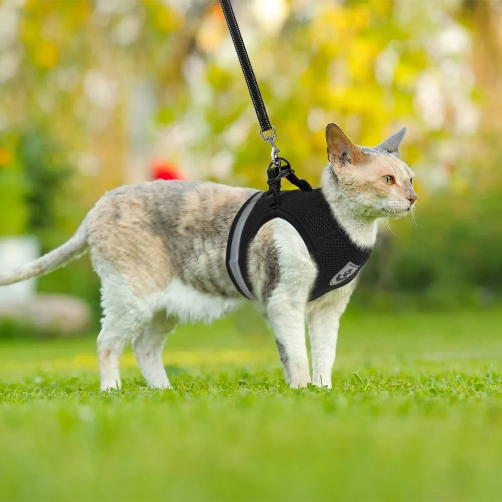 Reflective Breathable Harness